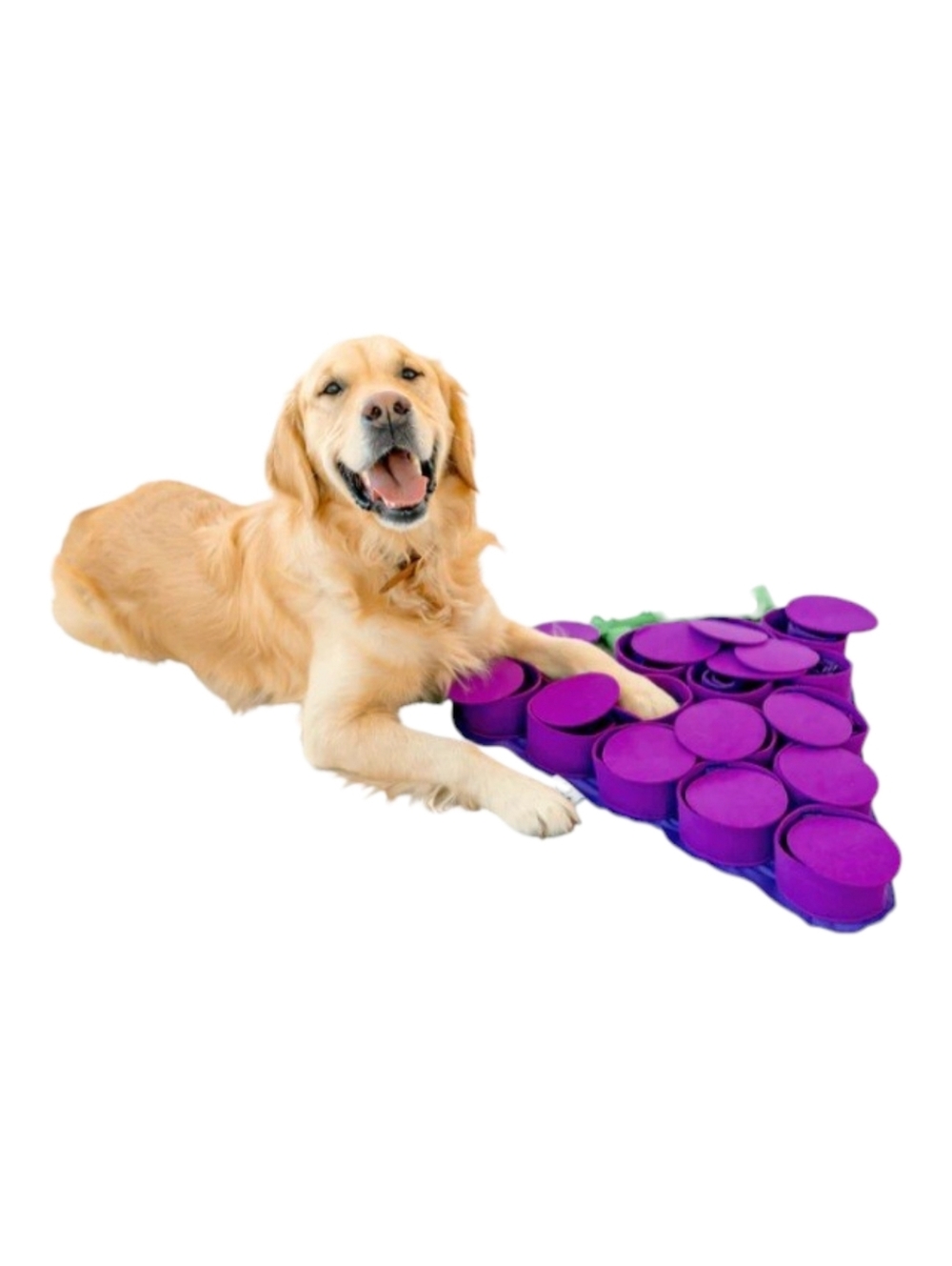 Snuffle Mat By PawznDogs Non-Toxic Materials 30"x20"